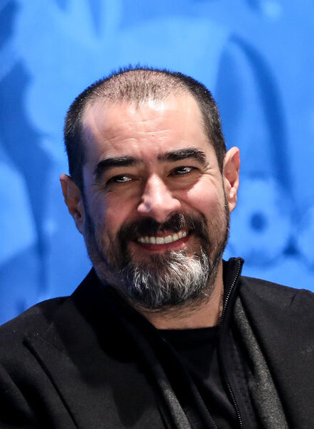 شهاب حسینی